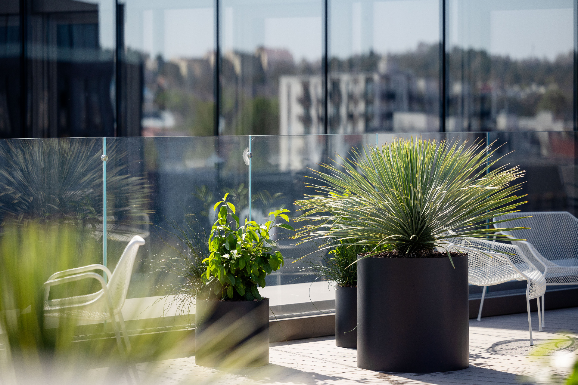 Large dark cylindrical planter and smaller planted forms beside a glass railing on a city rooftop