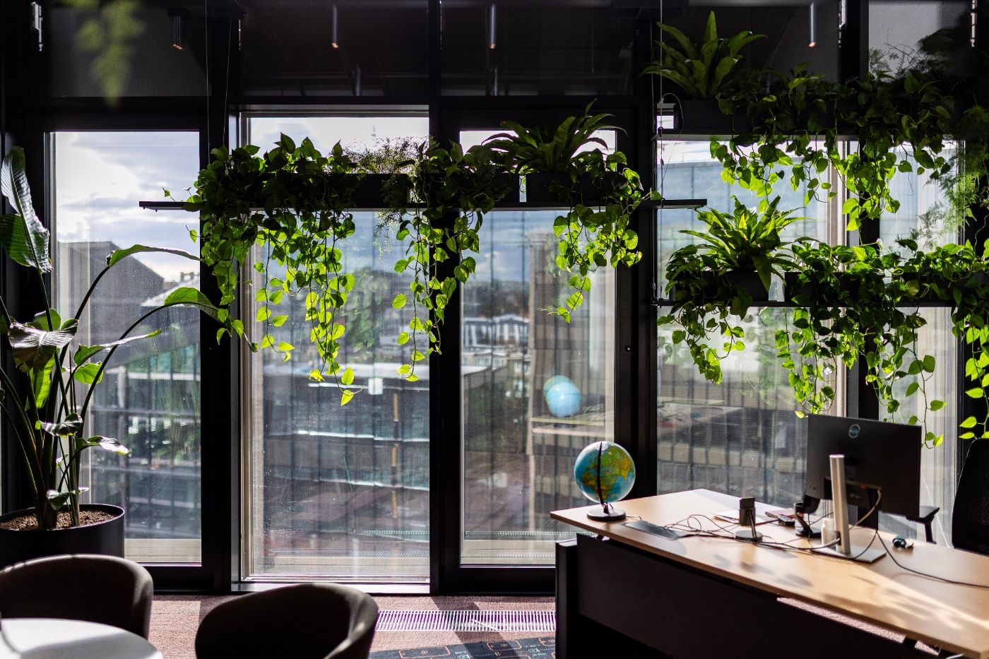 Jungle Flora planting and shelf installation