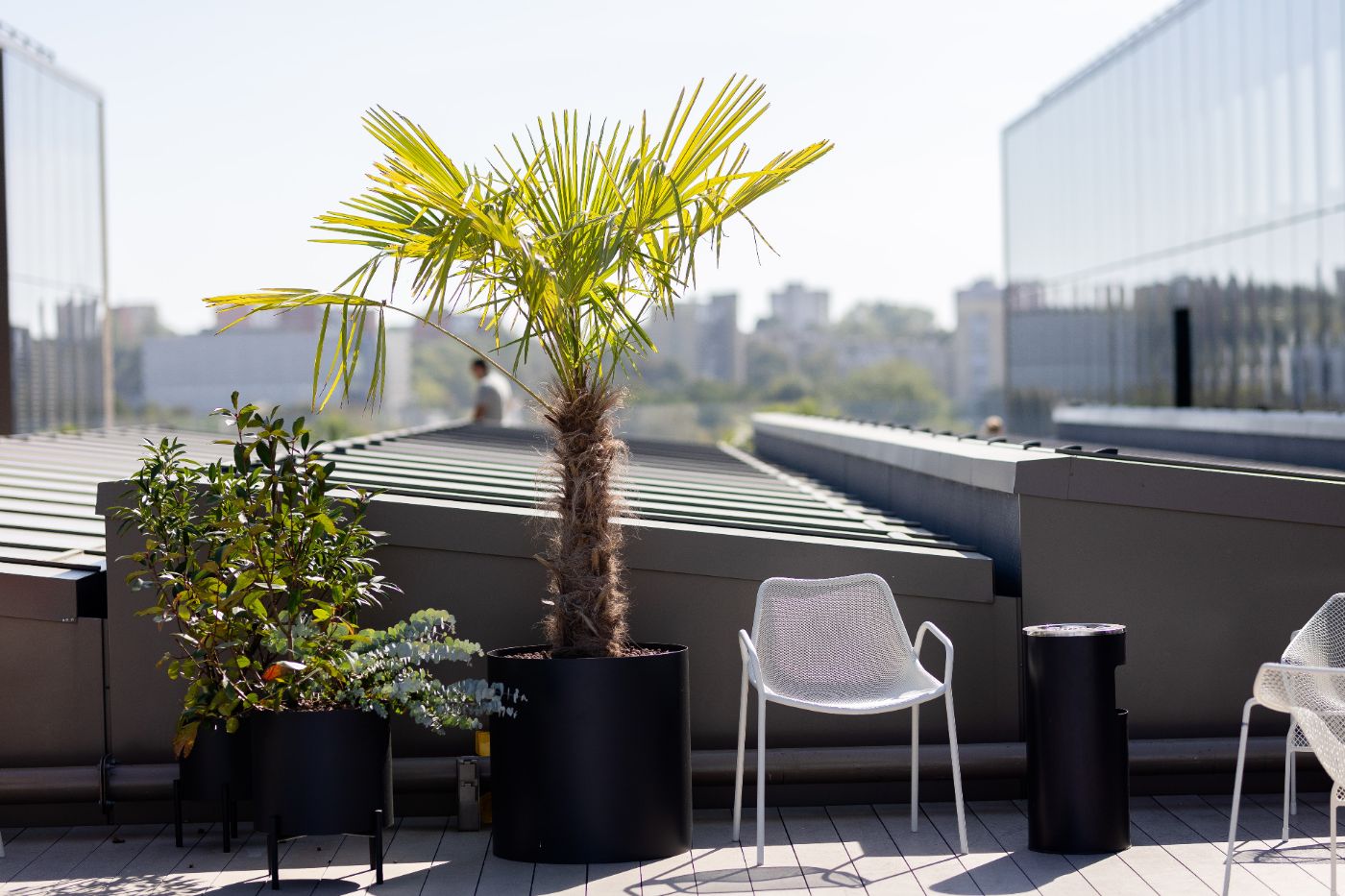 Jungle Flora terrace with architectural planting and outdoor seating